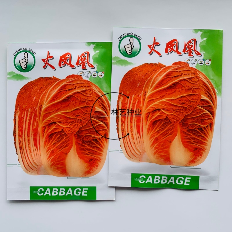 火凤凰大白菜种子抗病高产高钙橘红心农家大田易种植蔬菜种子