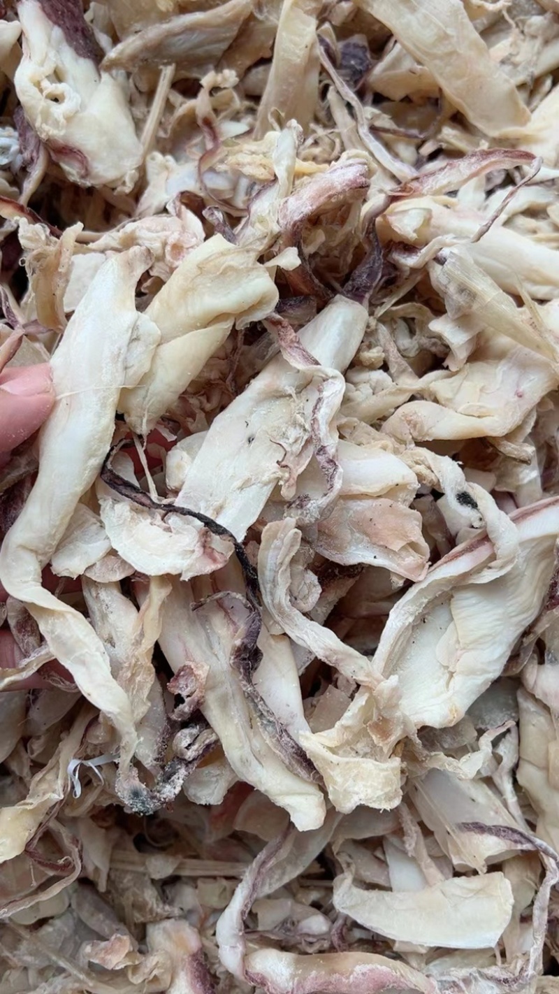 鱿鱼片地摊电商批发鱿鱼片鱿鱼条鱿鱼丝鱿鱼干