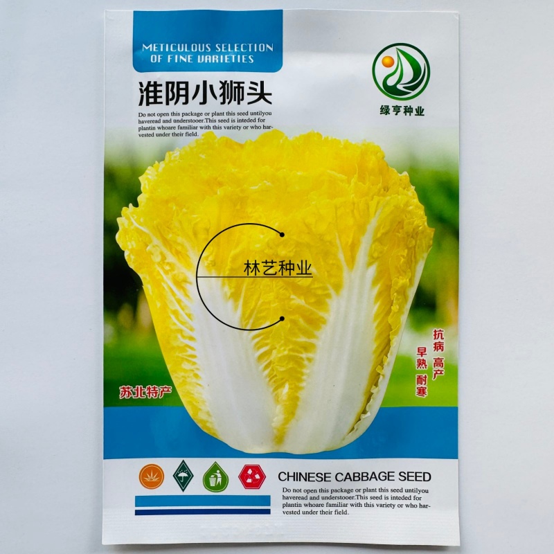 淮阴小狮头白菜种子黄心大白菜种籽直筒菊花形乳黄早熟秋季白