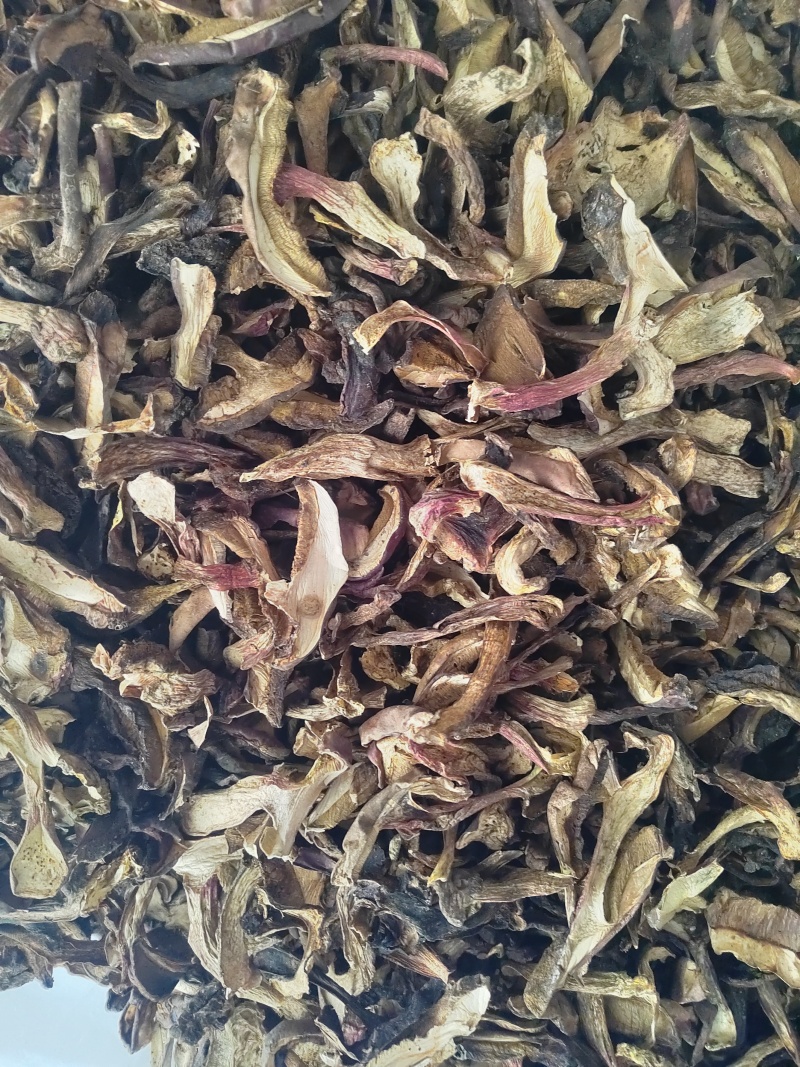 黑牛肝菌