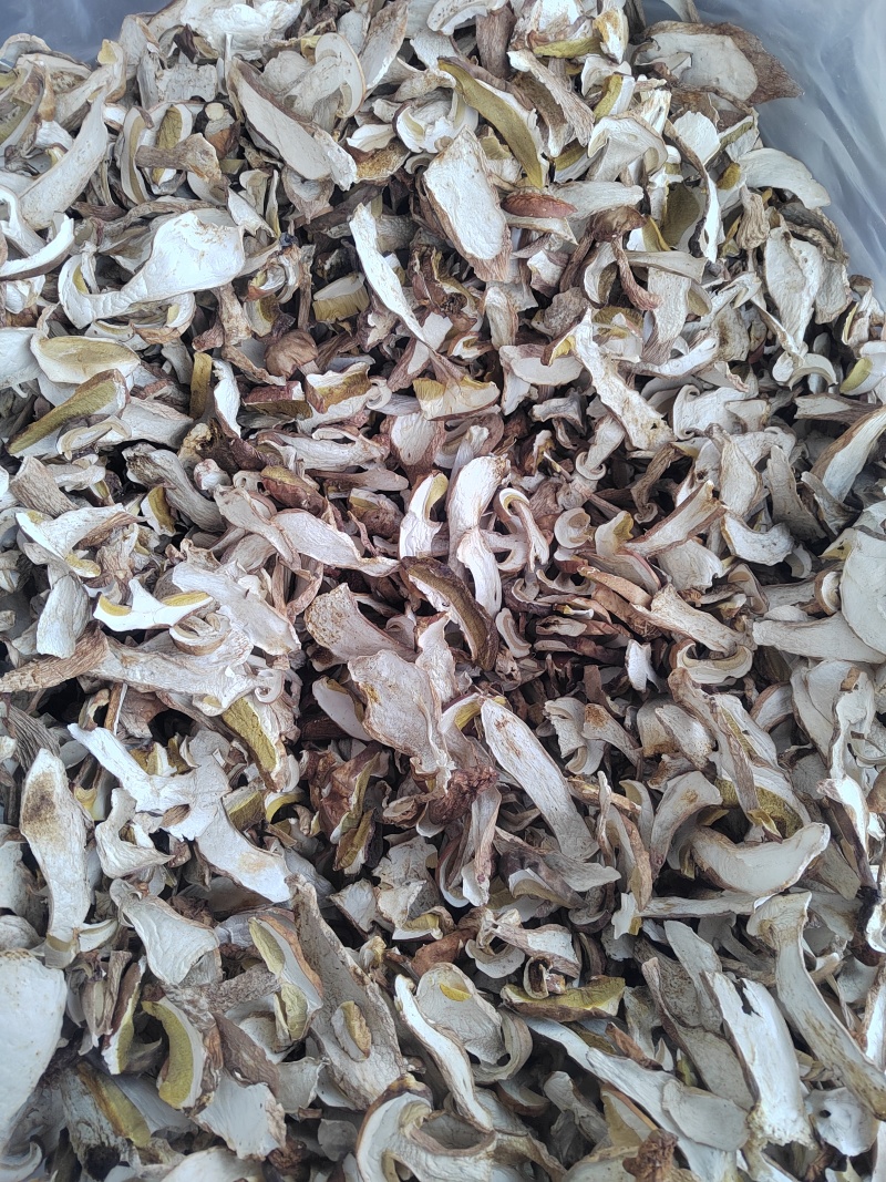牛肝菌美味牛肝菌干片