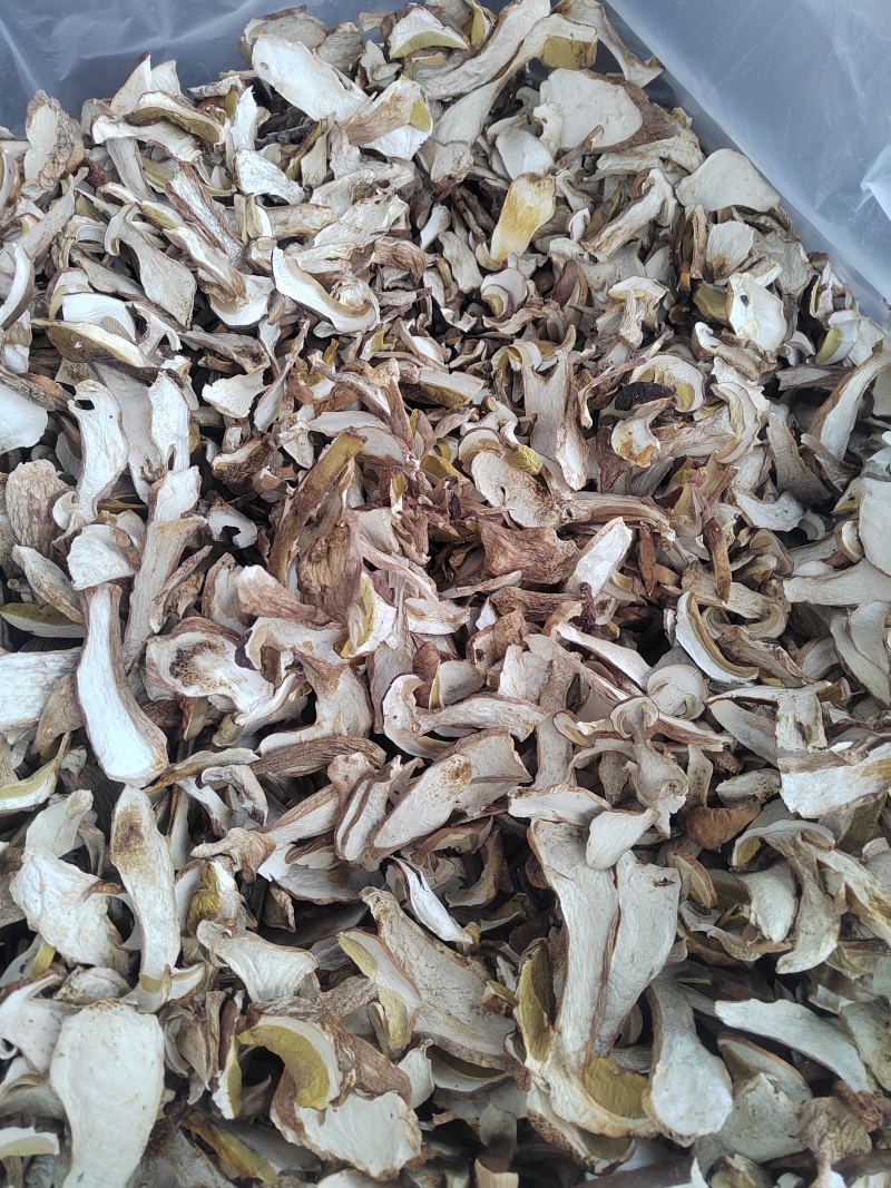 牛肝菌美味牛肝菌干片
