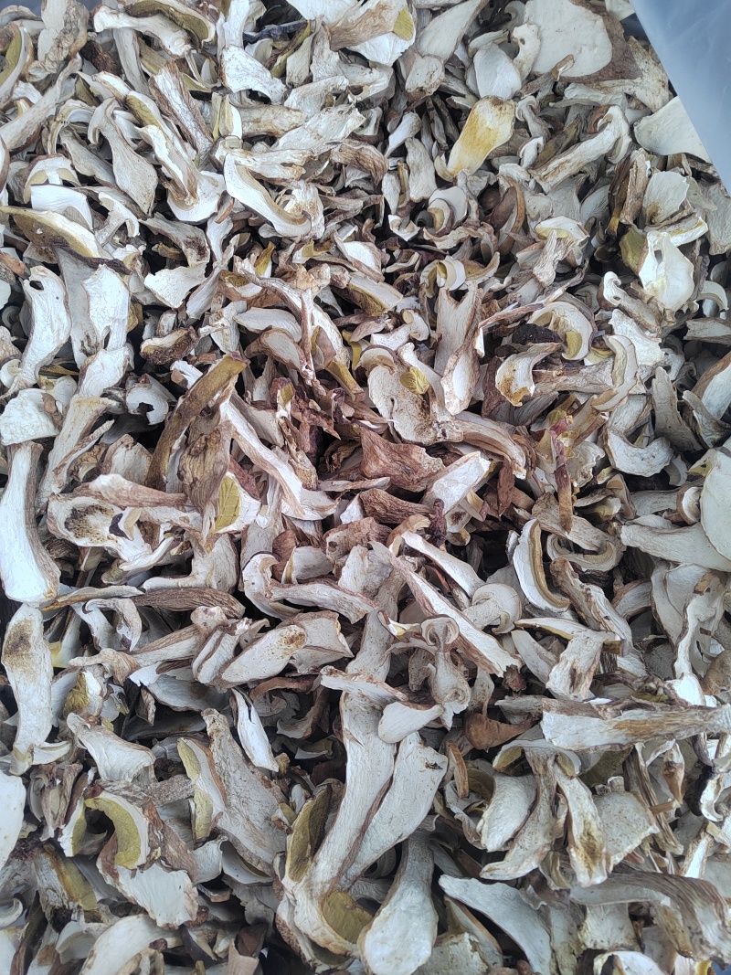 牛肝菌美味牛肝菌干片