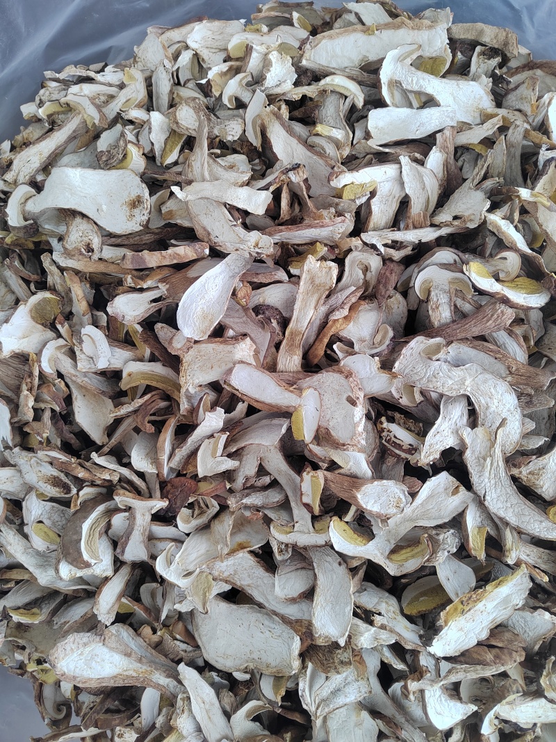牛肝菌美味牛肝菌干片