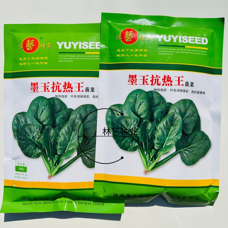 墨玉抗热王菠菜种子春夏秋耐热耐抽薹抗病强深绿菠菜