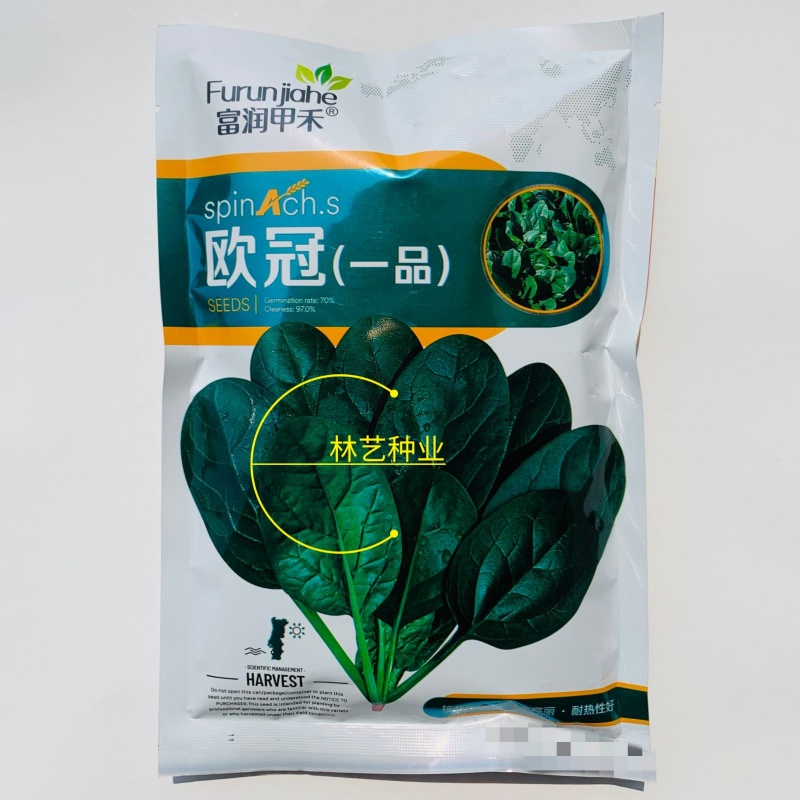 欧冠一品菠菜种子黑绿油亮高产抗病耐寒耐抽苔农家冬春播种