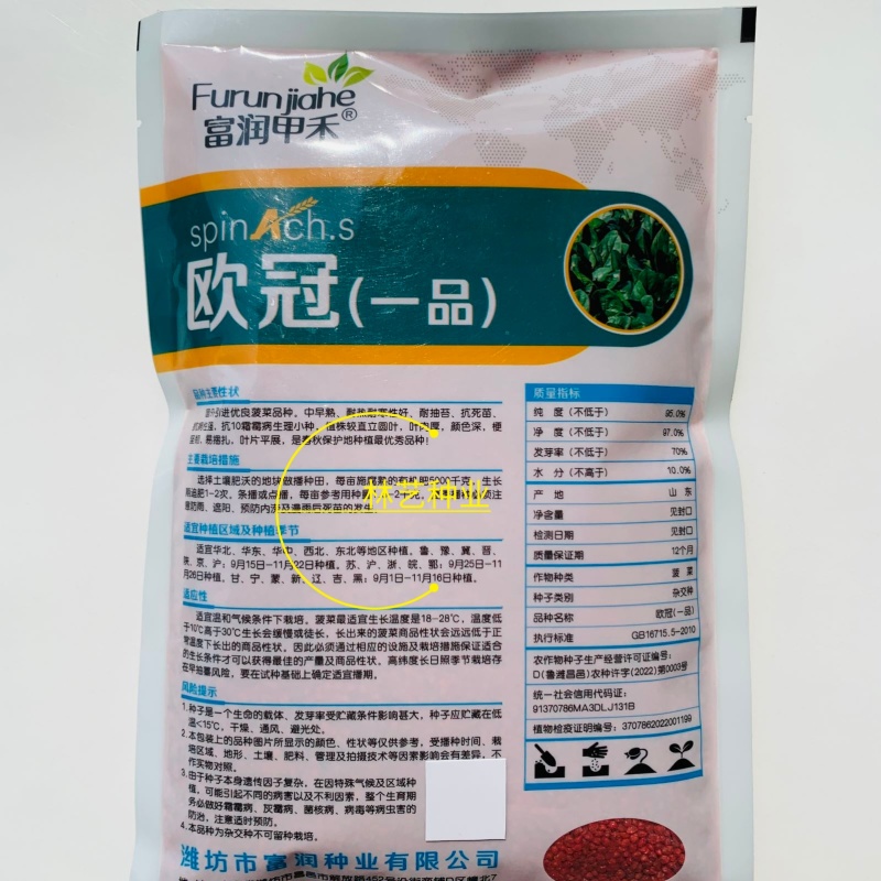 欧冠一品菠菜种子黑绿油亮高产抗病耐寒耐抽苔农家冬春播种