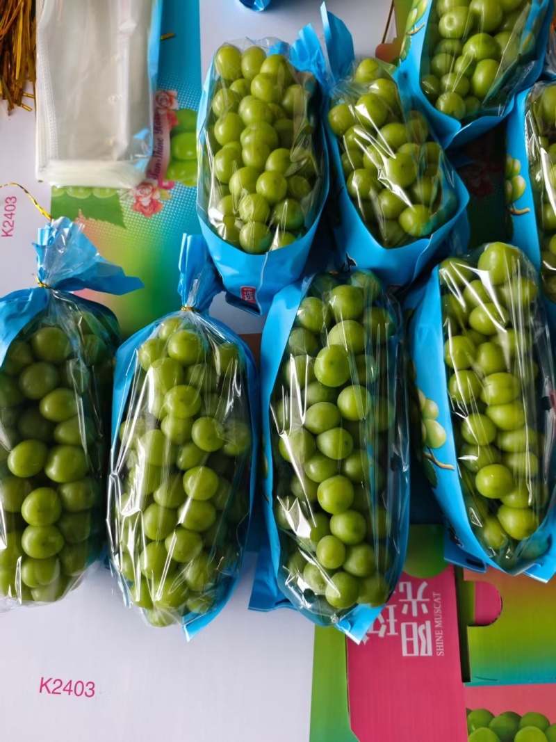 [精品]阳光玫瑰葡萄货源充足，量大从优，欢迎咨询