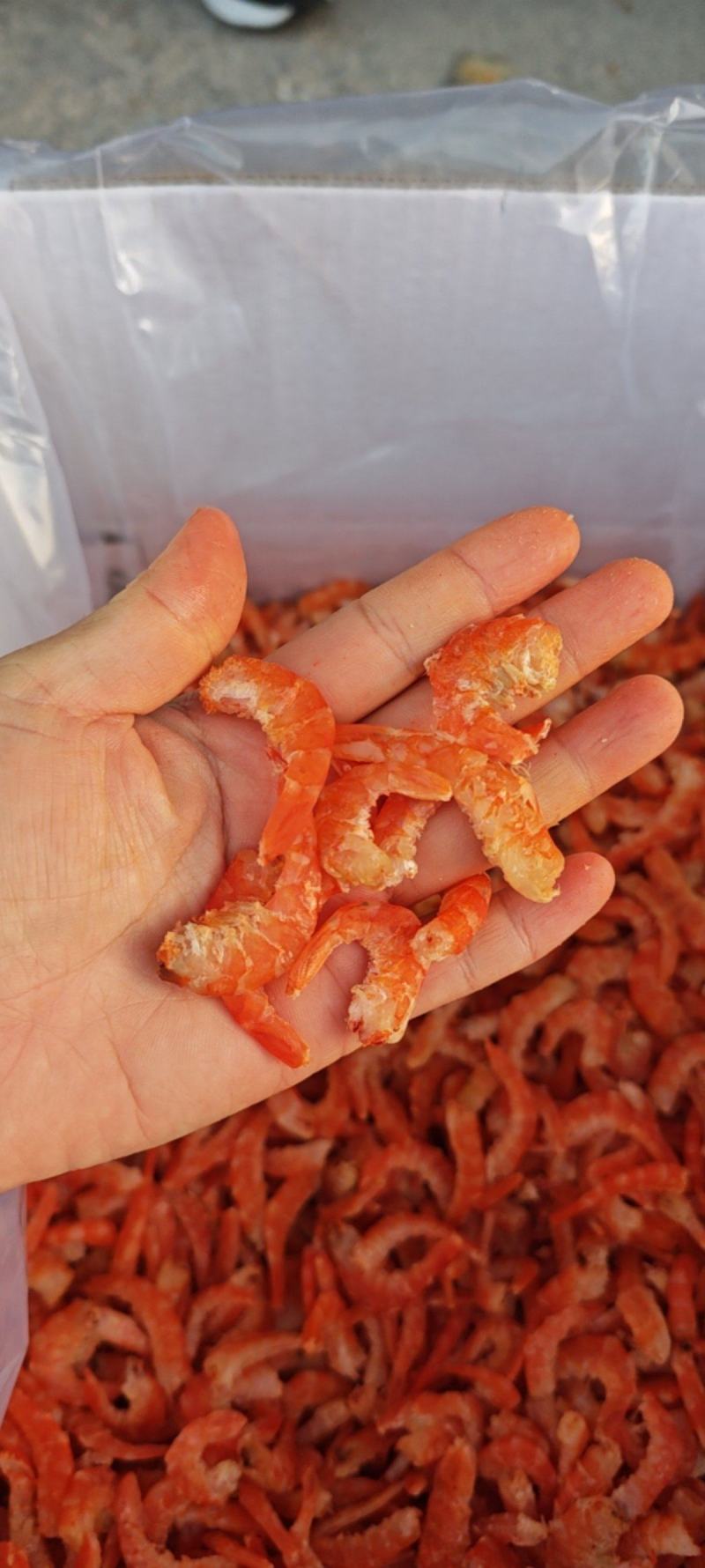 直钩米虾仁鹰爪米海米