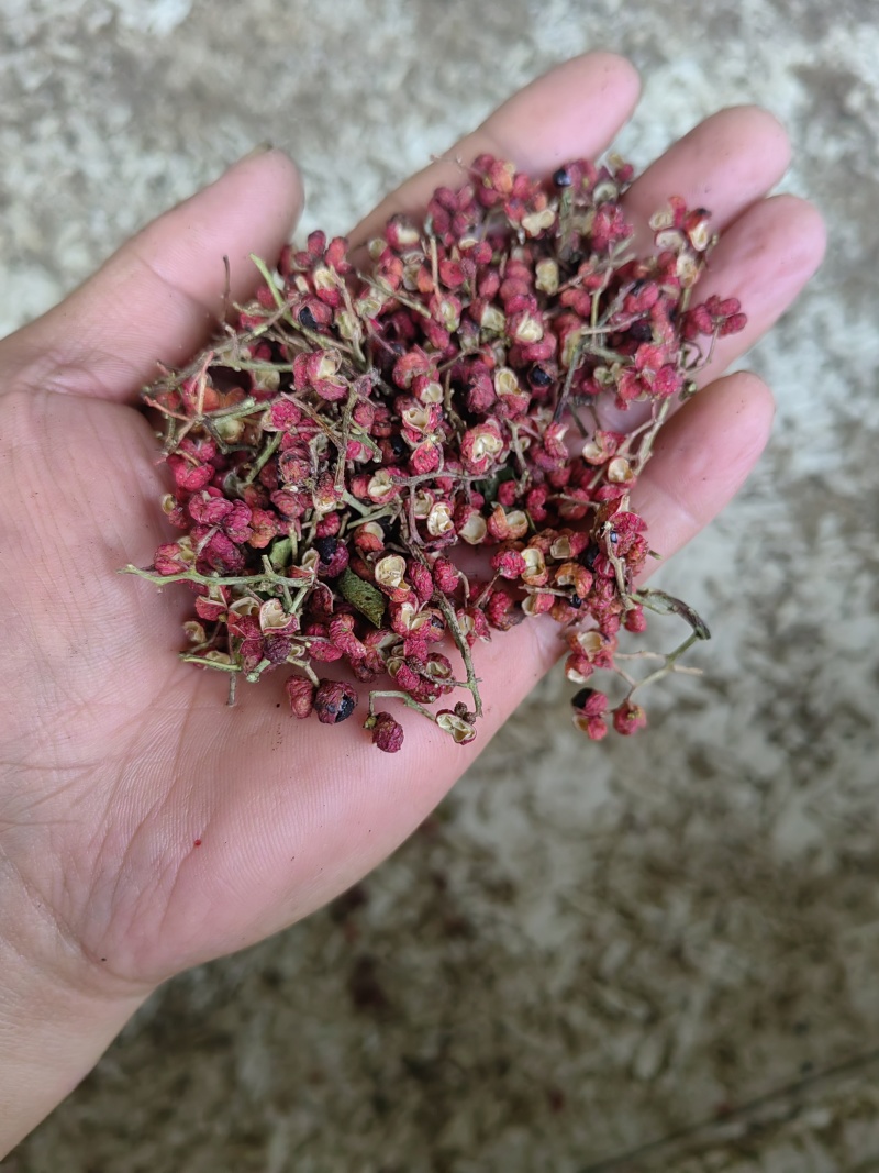 陕西大红袍花椒色泽红亮，香麻味足，厨房调味品必备