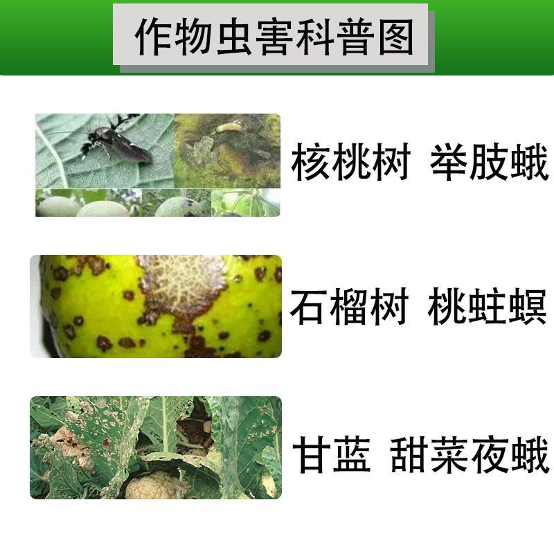 整美邦顶贯5%甲维盐甲氨基阿维菌素甘蓝甜菜夜蛾杀虫剂