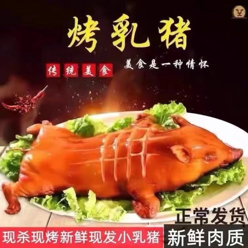 乳猪.香猪，生鲜铺现杀现卖保证正品.欢迎选购