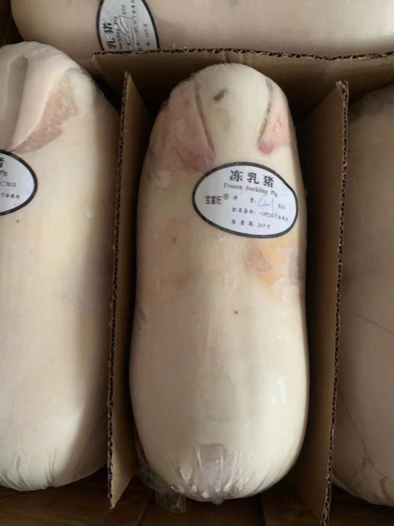 乳猪.香猪，生鲜铺现杀现卖保证正品.欢迎选购