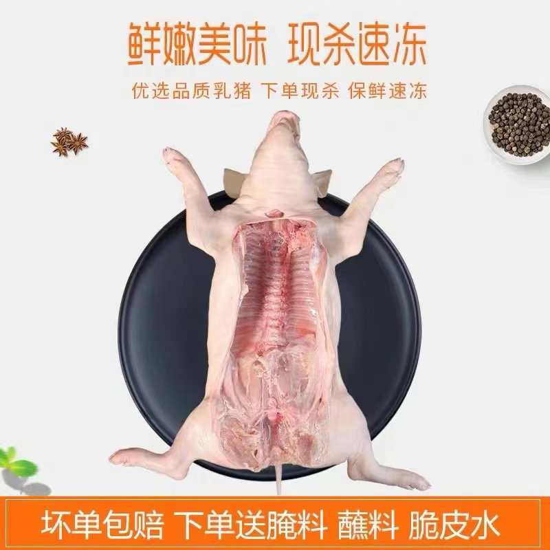 乳猪.香猪，生鲜铺现杀现卖保证正品.欢迎选购
