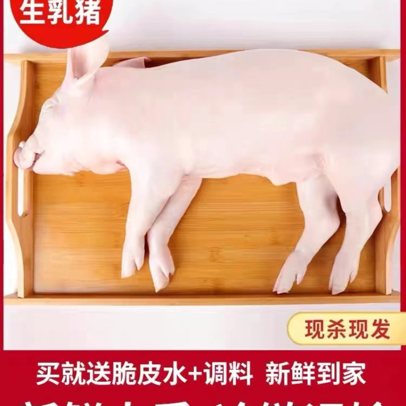 乳猪.香猪，生鲜铺现杀现卖保证正品.欢迎选购