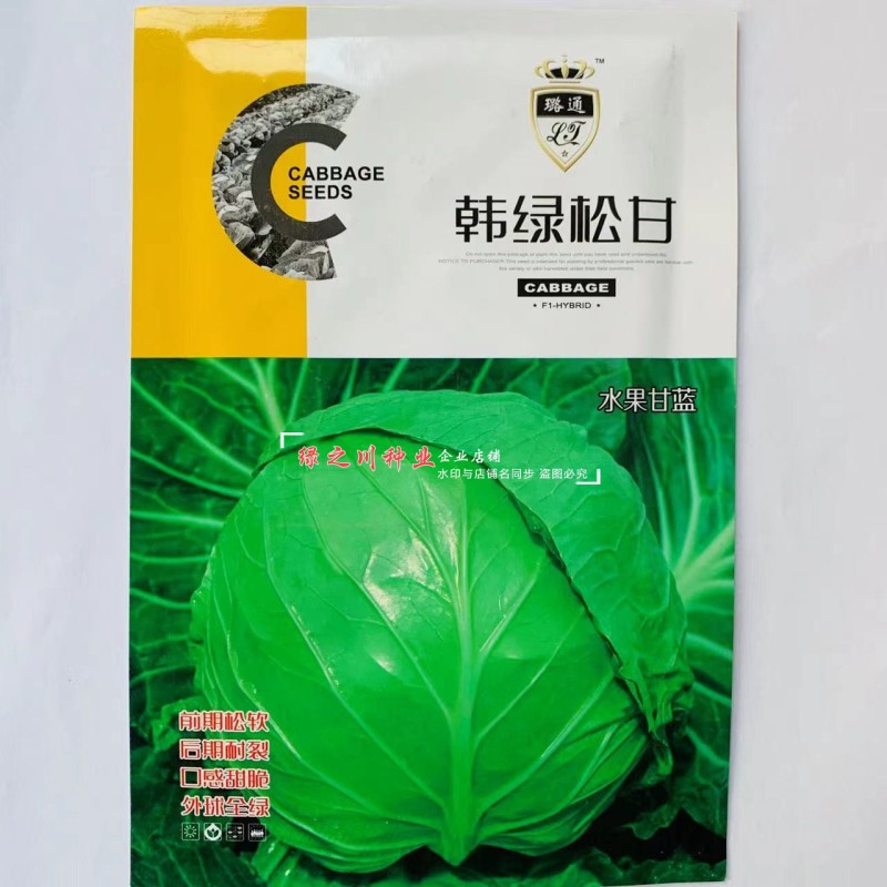 韩绿松甘水果甘蓝种子春秋甜脆黄心甘兰圆包菜种子籽卷心菜