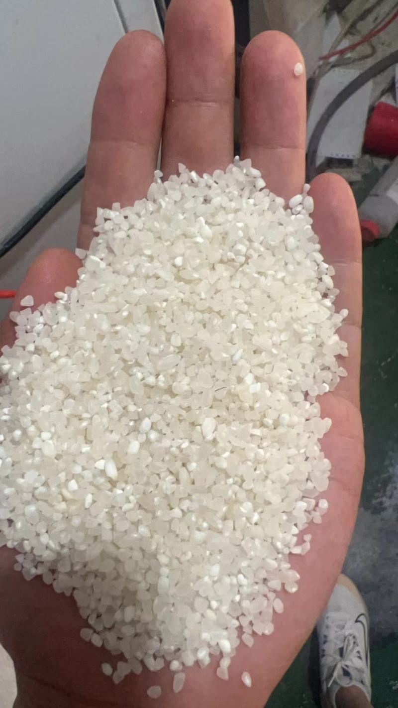 新米粳米抛光新米食品级碎米烤酒煮粥用好米抛光无杂质无黄