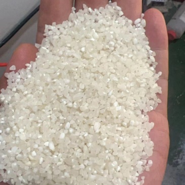 新米粳米抛光新米食品级碎米烤酒煮粥用好米抛光无杂质无黄