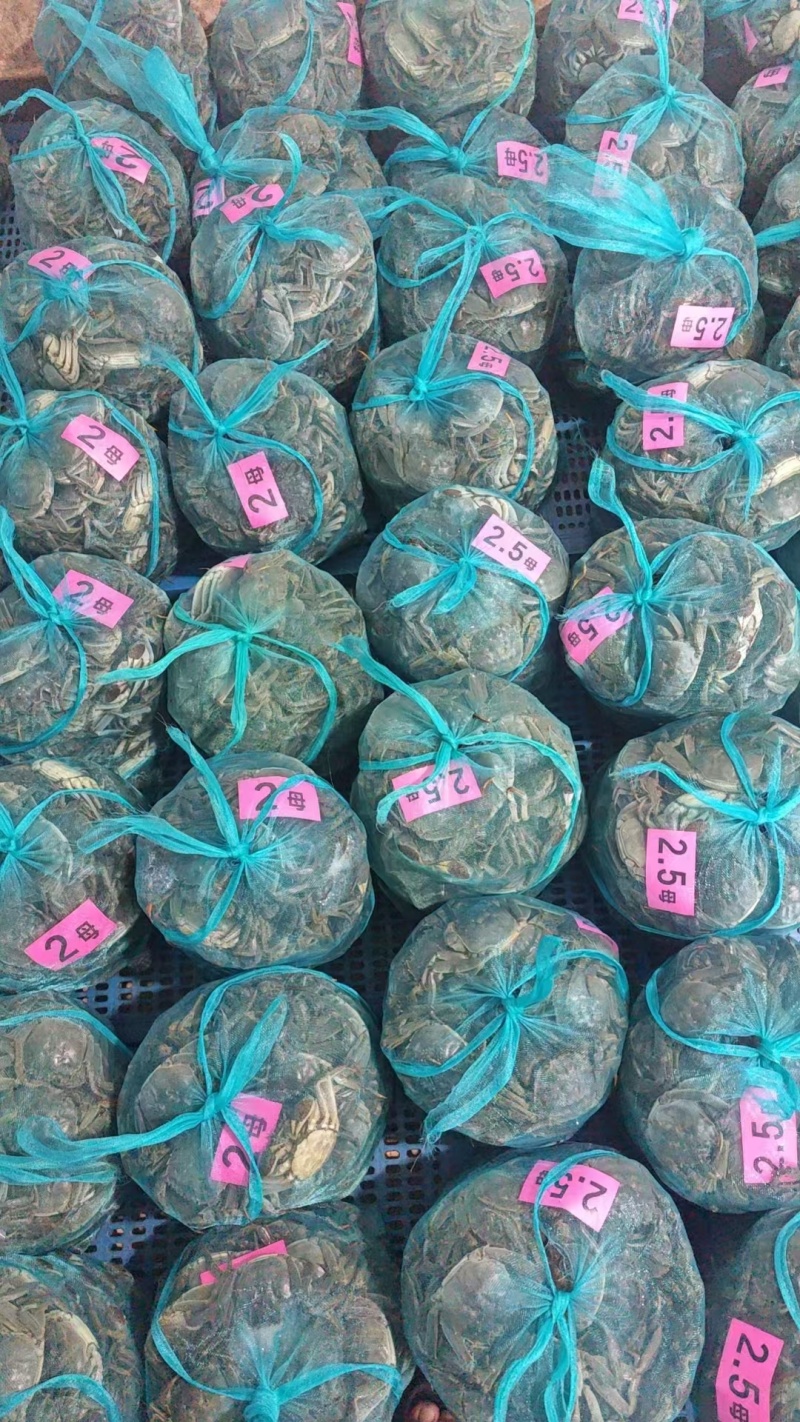 江苏兴精品大闸蟹，包活包肥，产地发货，价格优美质量有保证