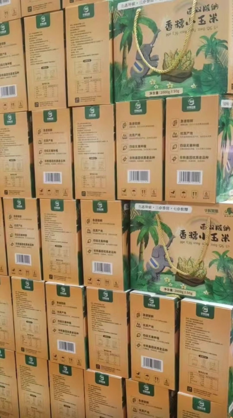 西双版纳香糯玉米