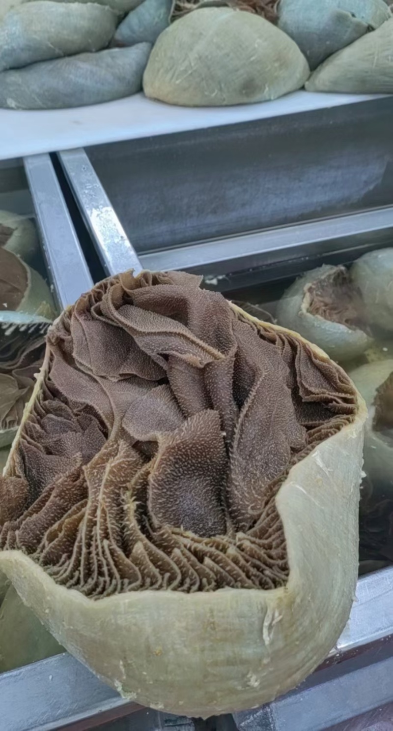 毛肚