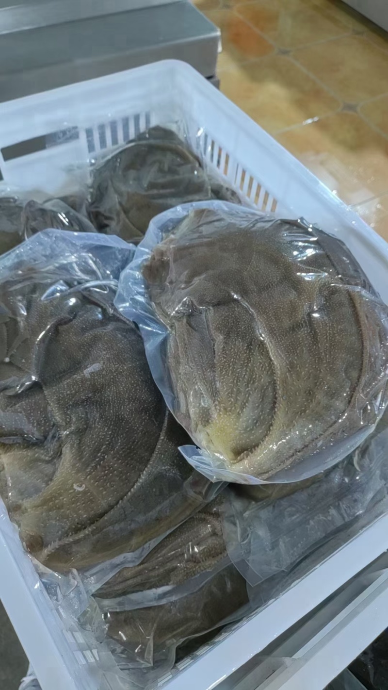 毛肚