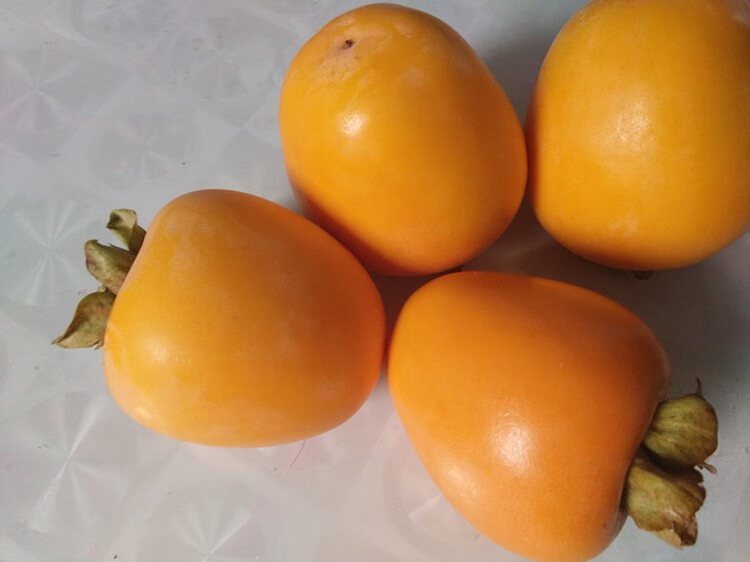一颗成熟的牛心柿子,呈深橙红色,果形饱满,顶部带有绿色萼片,表面光滑有光泽,背景为秋日果园环境,阳光柔和 牛心柿子特写