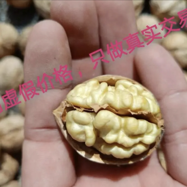 185阿克苏纸皮核桃原产地发货自己晒干新疆特产