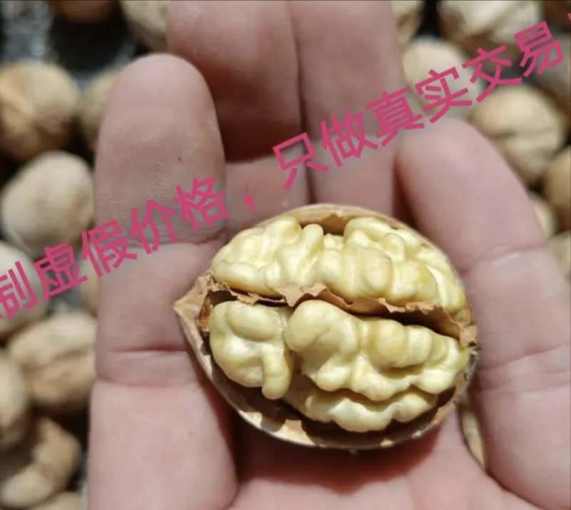 185阿克苏纸皮核桃原产地发货自己晒干新疆特产