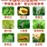 甲维氯虫苯甲酰胺杀虫剂植物甘蓝小菜蛾专用农药杀虫剂