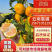 云南高山蜜橘口感纯甜皮薄肉厚无核无籽清甜化渣