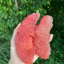 四川红心柚大量上市，需要的联系，口感好颜色好，水分足