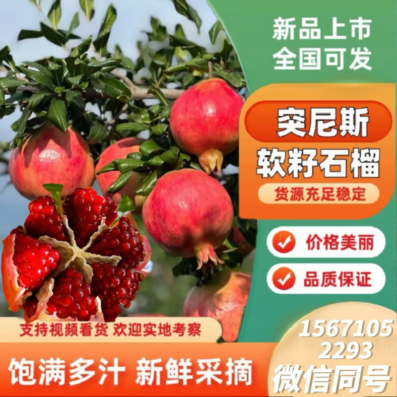 突尼斯软籽石榴，粒粒爆汁，风味浓郁，品质佳良