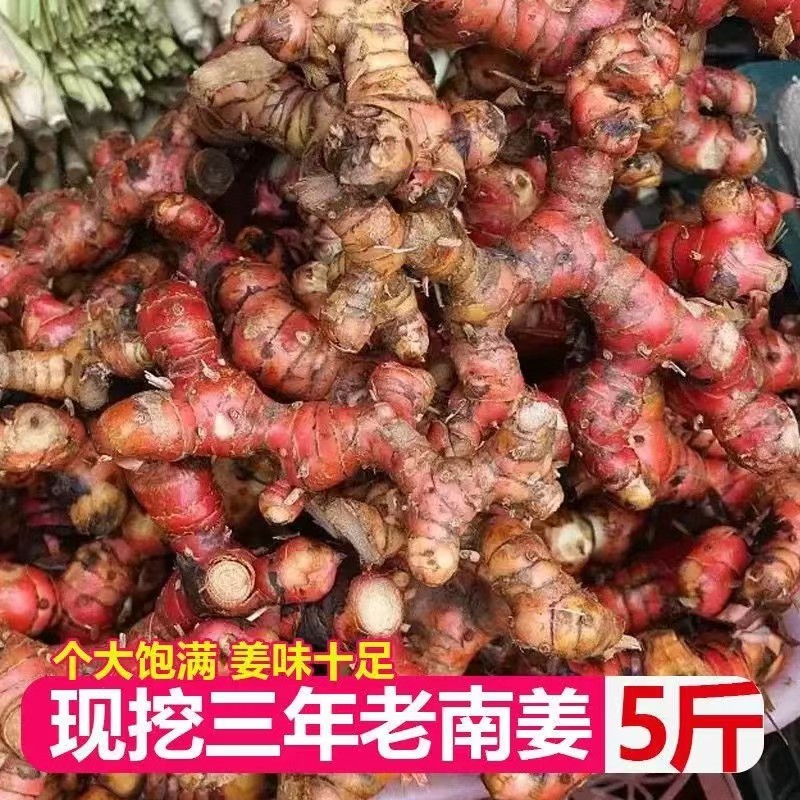 湛江山姜南姜，产地直发货源保证，量大价优，欢迎来电合作