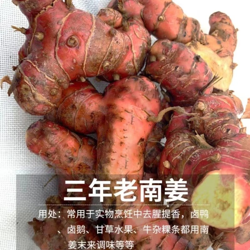 湛江山姜南姜，产地直发货源保证，量大价优，欢迎来电合作