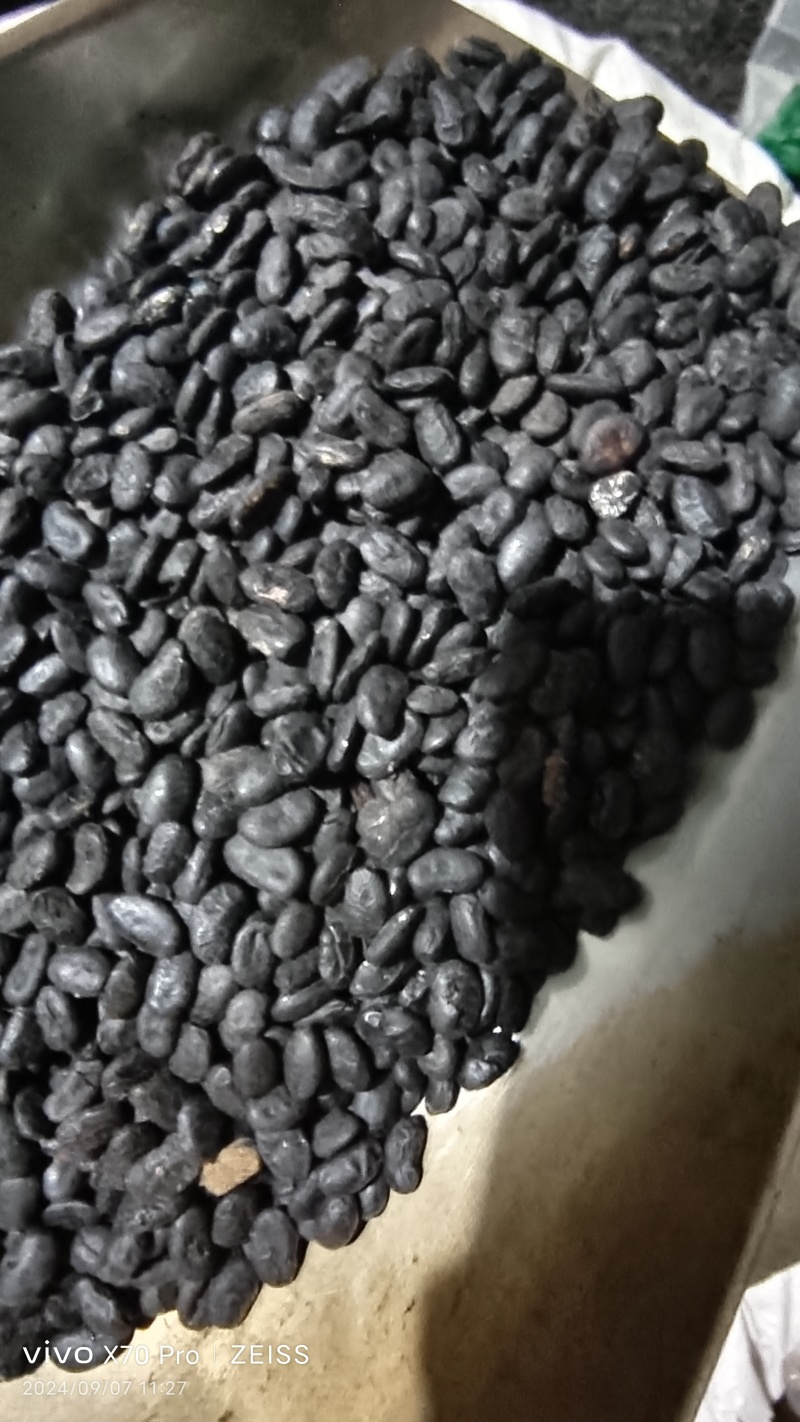 淡豆豉干货中药材用量大从优常年经营各种中药材
