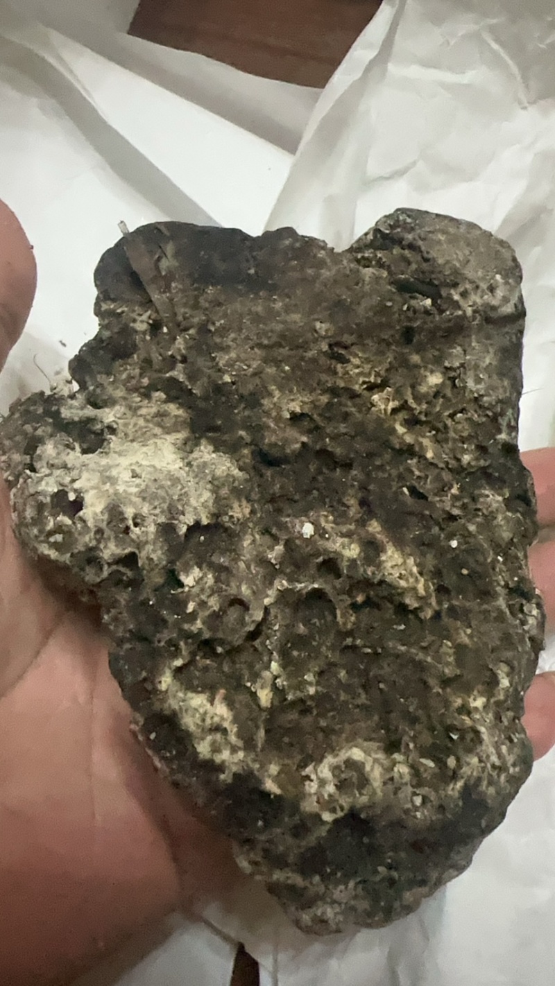 黑龙涎香-价格面议