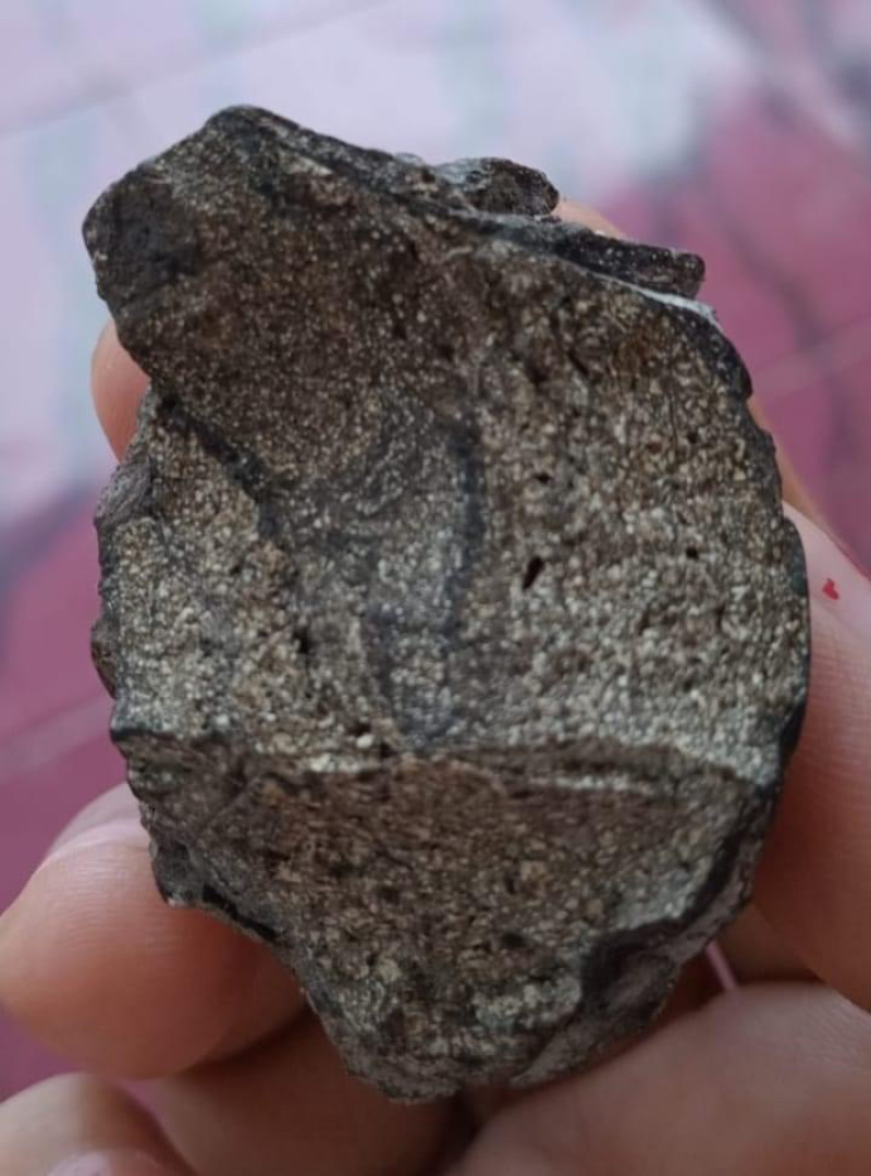 黑龙涎香-价格面议