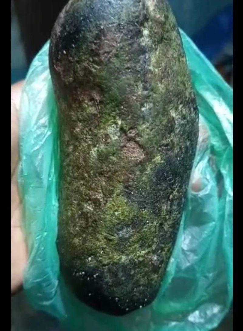 黑龙涎香-价格面议