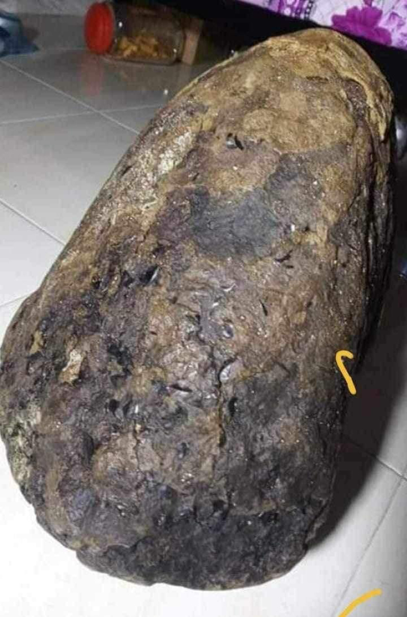黑龙涎香-价格面议