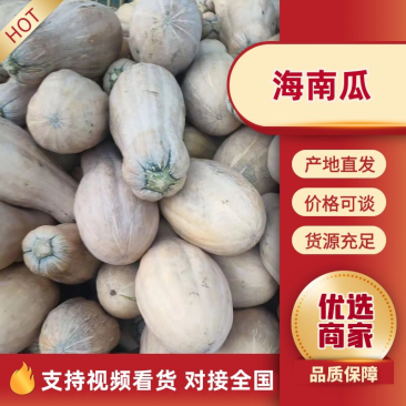 江苏盐城精品海南瓜价格实惠量大从优欢迎采购