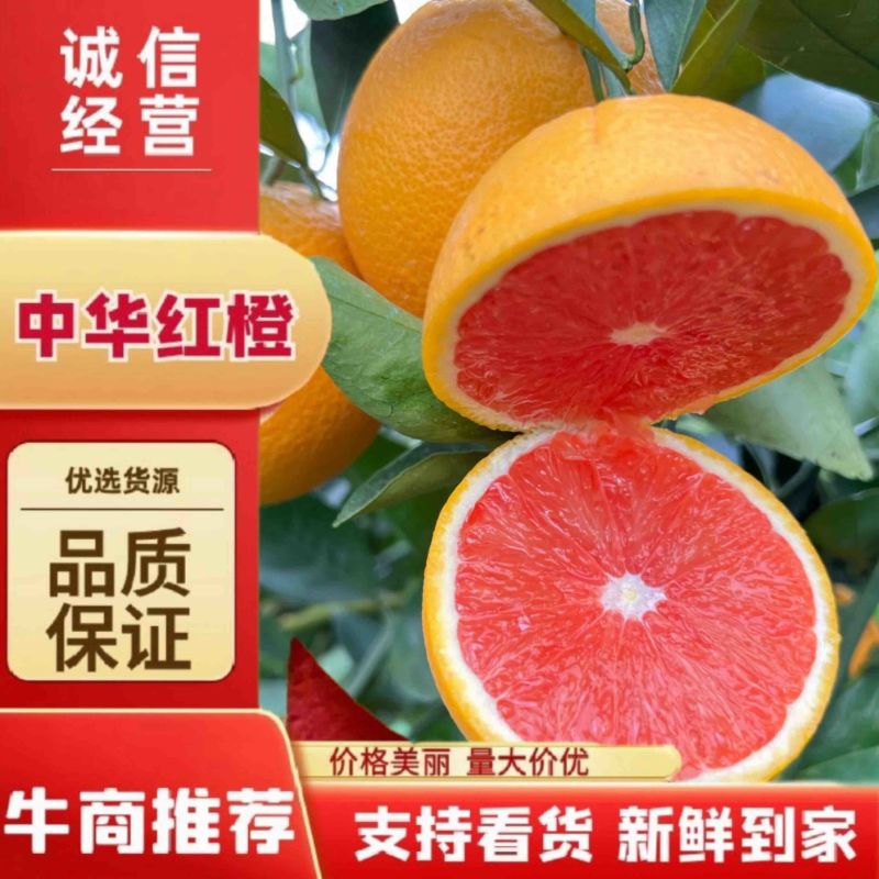 【中华红橙】湖北血橙大量上市产地直发欢迎咨询