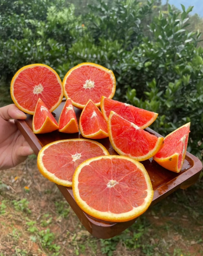 【中华红橙】湖北血橙大量上市产地直发欢迎咨询
