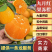 【九月红】湖北脐橙果冻橙产地直发对接电商团购各大市场