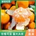 《畅销》蜜橘特早蜜橘大份四号品种多货源充足一手货源