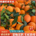 【长虹脐橙】湖北橙子纽荷尔产地现采现发欢迎咨询