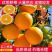 【纽荷尔脐橙】湖北橙子大量上市果园看货现采现发