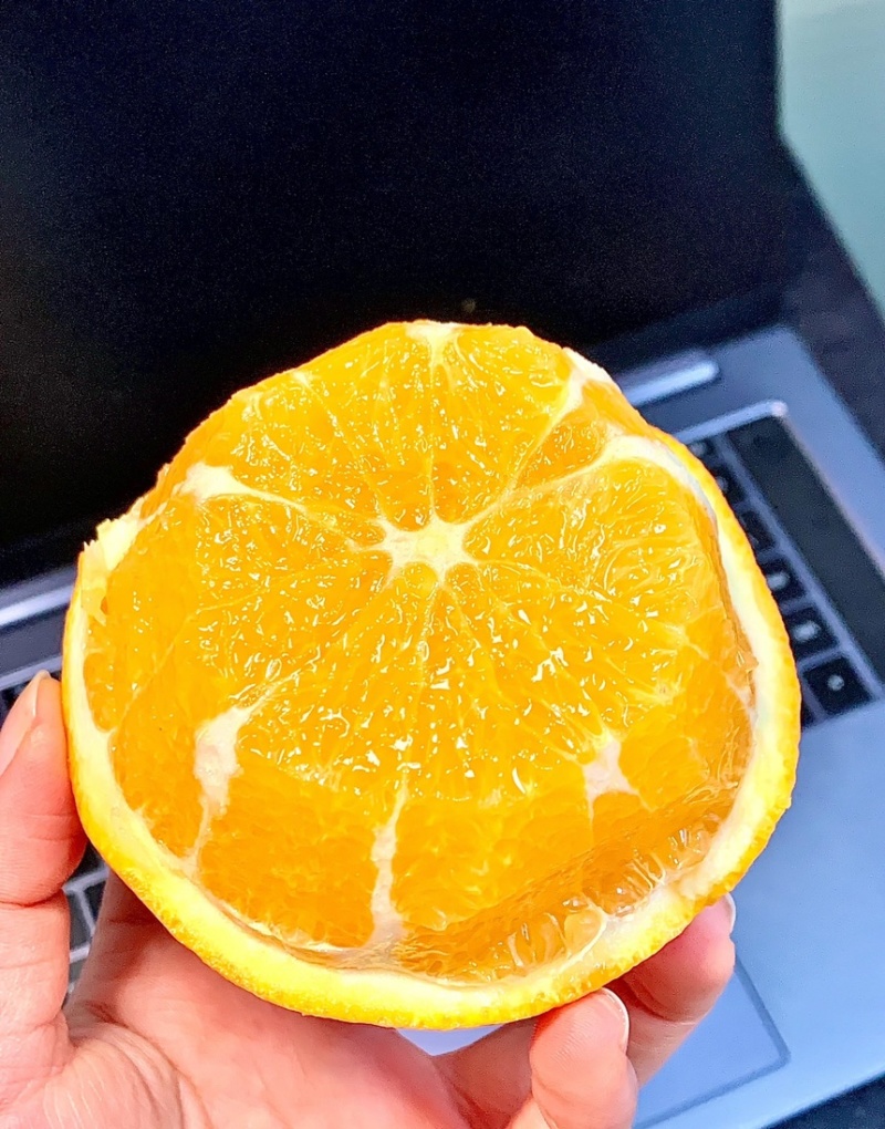 【纽荷尔脐橙】湖北橙子大量上市果园看货现采现发