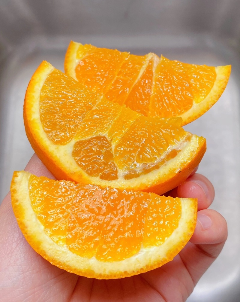 【纽荷尔脐橙】湖北橙子大量上市果园看货现采现发