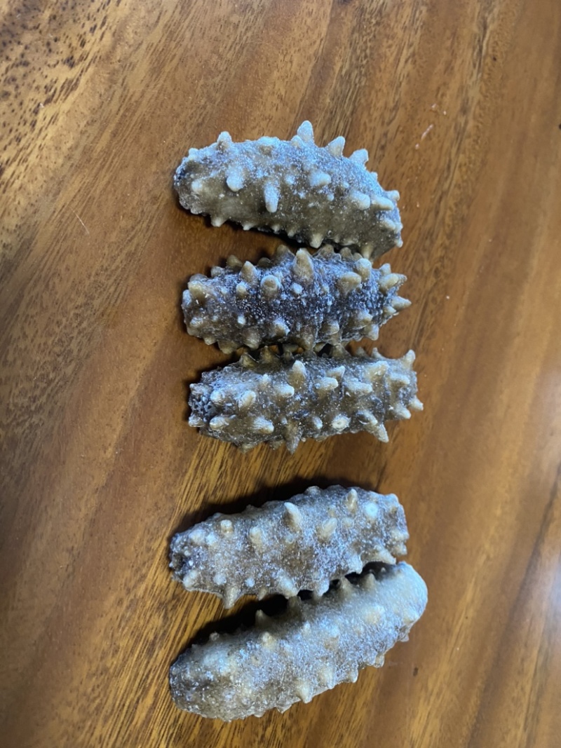 鲜食海参